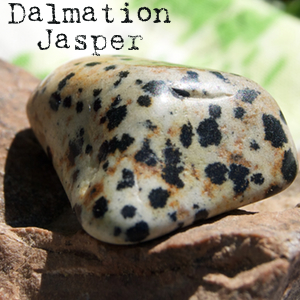 Dalmation Jasper